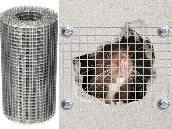 wire netting3 wire netting3